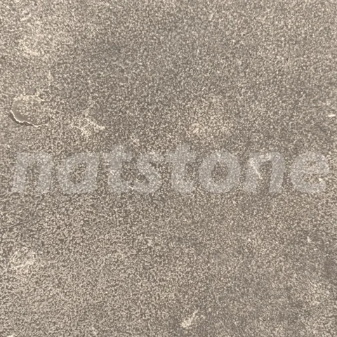 NLG — Areado