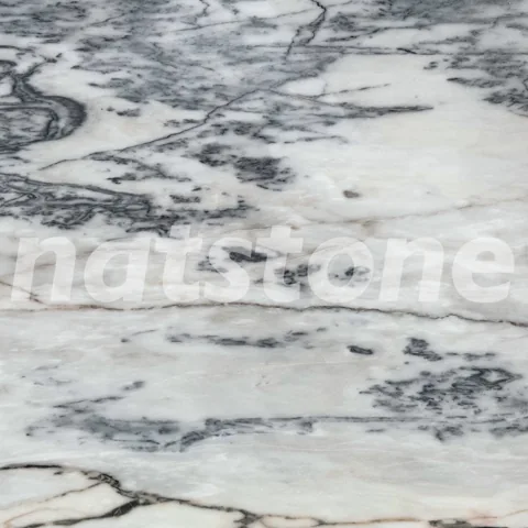 NMT_Z