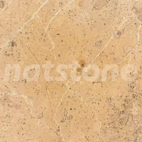 NTB — Polido