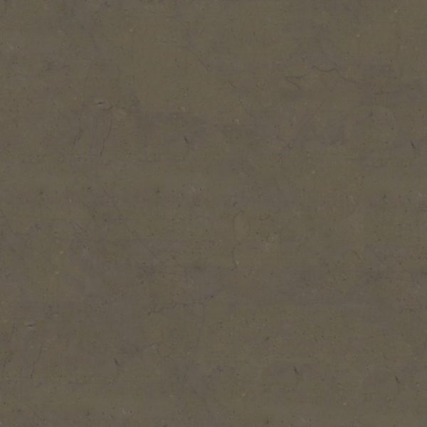 La pierre NGI est un calcaire de couleur gris bleuté avec des grains fins a moyens et fond uniforme. Elle présente également des zones claires ou plus foncées avec un ton brun clair.