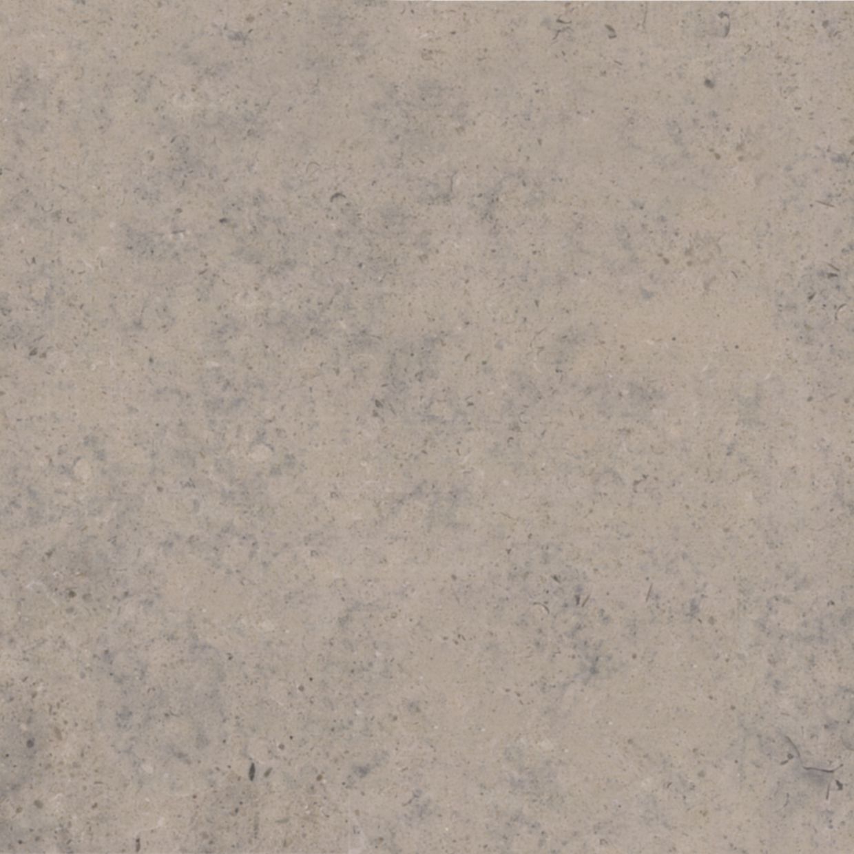 The NMZ is a beige / bluish colored limestone.