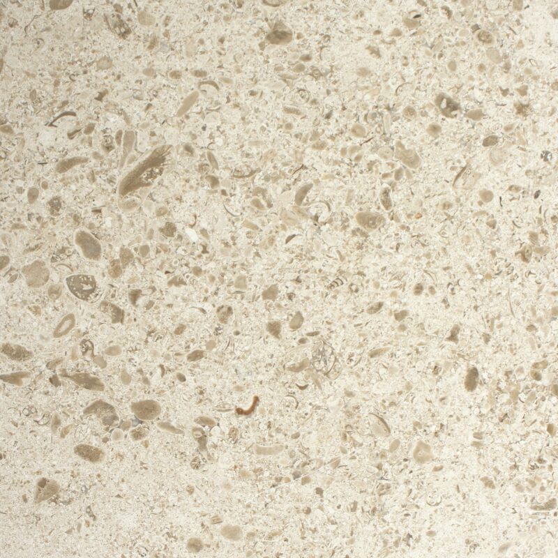 A pedra NFT G é um calcário de cor beige que é caracterizado pelo seu médio grão e com alguns pontos acastanhados na sua superfície. Regularmente apresenta alguns pequenos fósseis na sua composição.